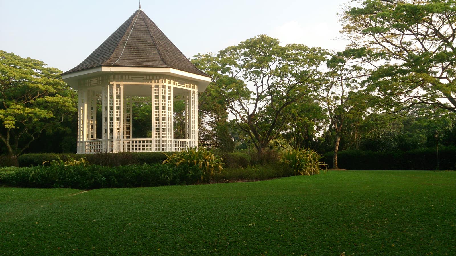 Singapore Botanic Gardens greenery on a UNESCO garden walking tour